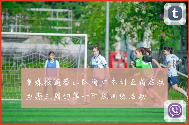 鲁媒报道泰山队海口冬训正式启动为期三周的第一阶段训练活动